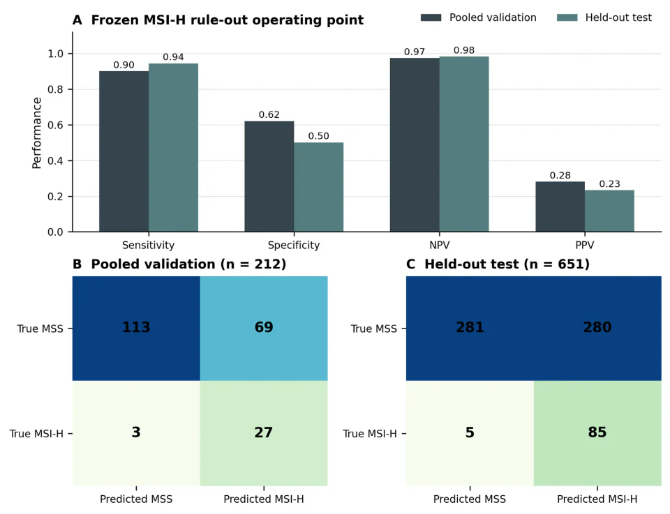MSI performance chart and confusion matrices for pooled validation and held-out testing.